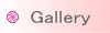 galleryACR